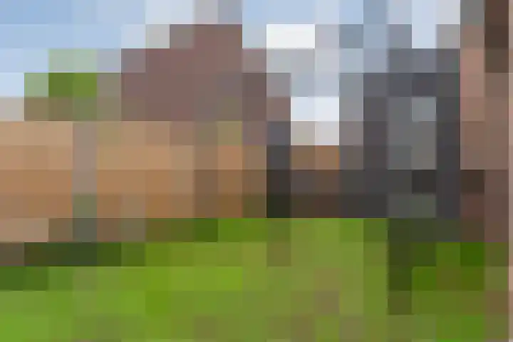Enkstraat 17 Raalte thumbnail 47