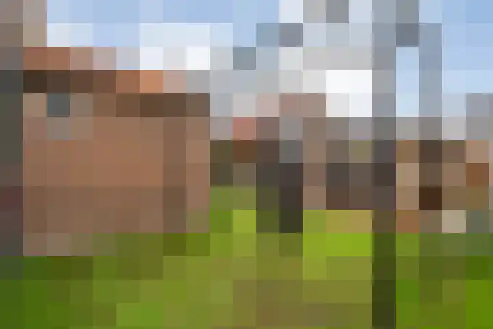 Enkstraat 17 Raalte thumbnail 48