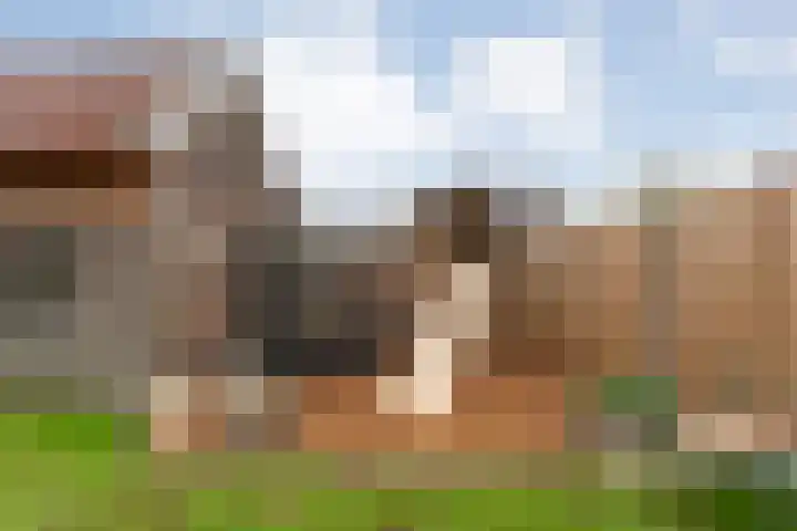 Enkstraat 17 Raalte thumbnail 49