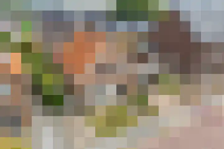 Enkstraat 17 Raalte thumbnail 56
