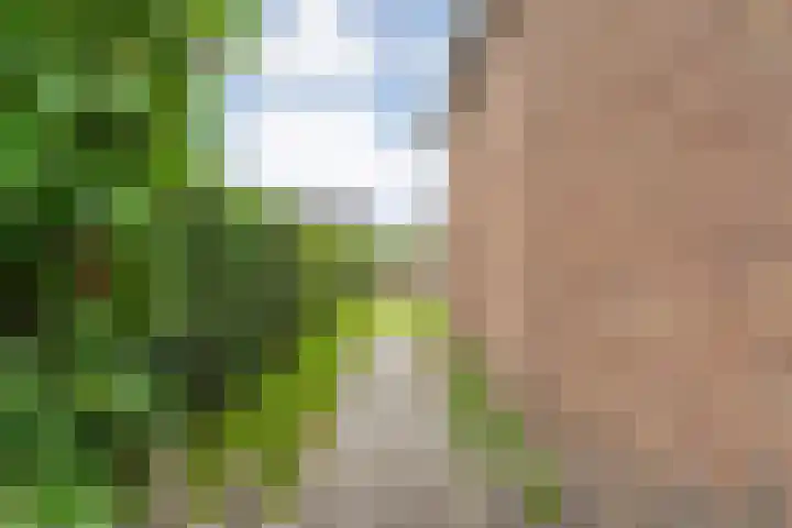 Enkstraat 17 Raalte thumbnail 8