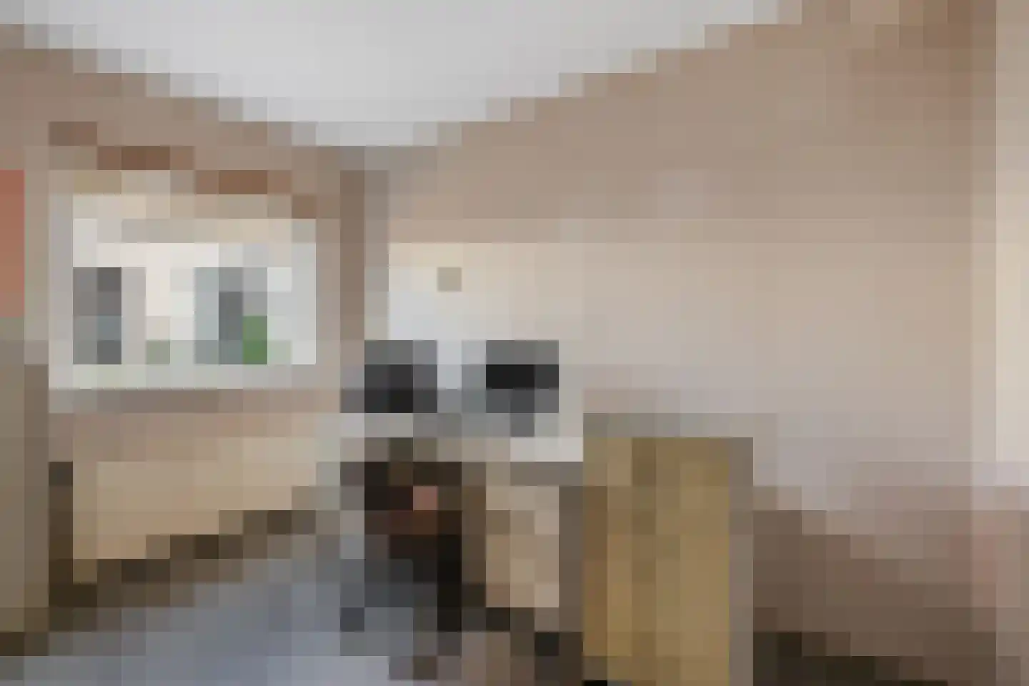 Enkstraat 22 Raalte thumbnail 12