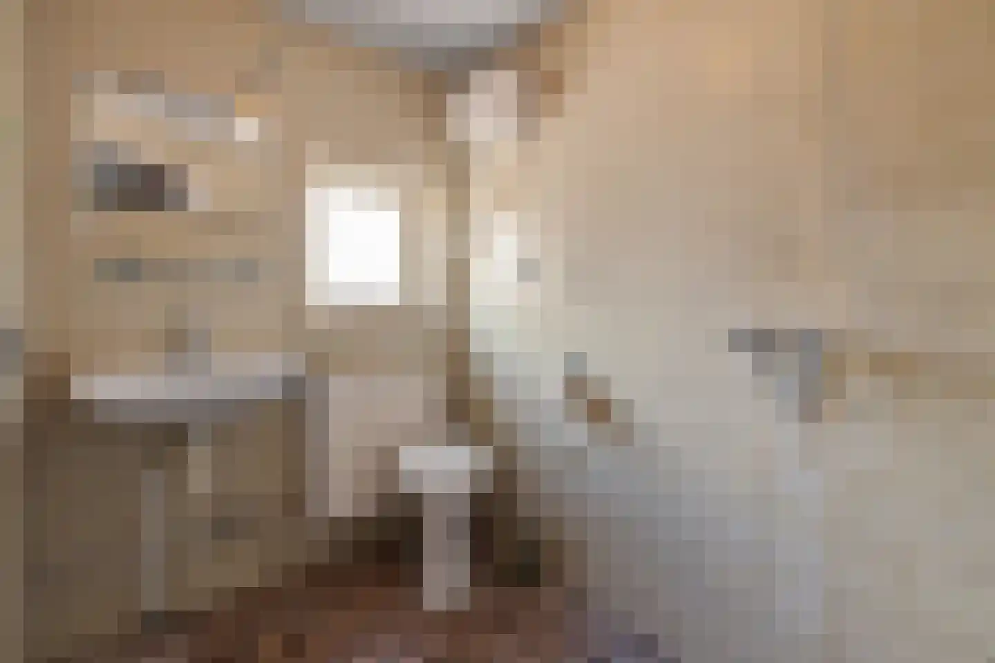 Enkstraat 22 Raalte thumbnail 20