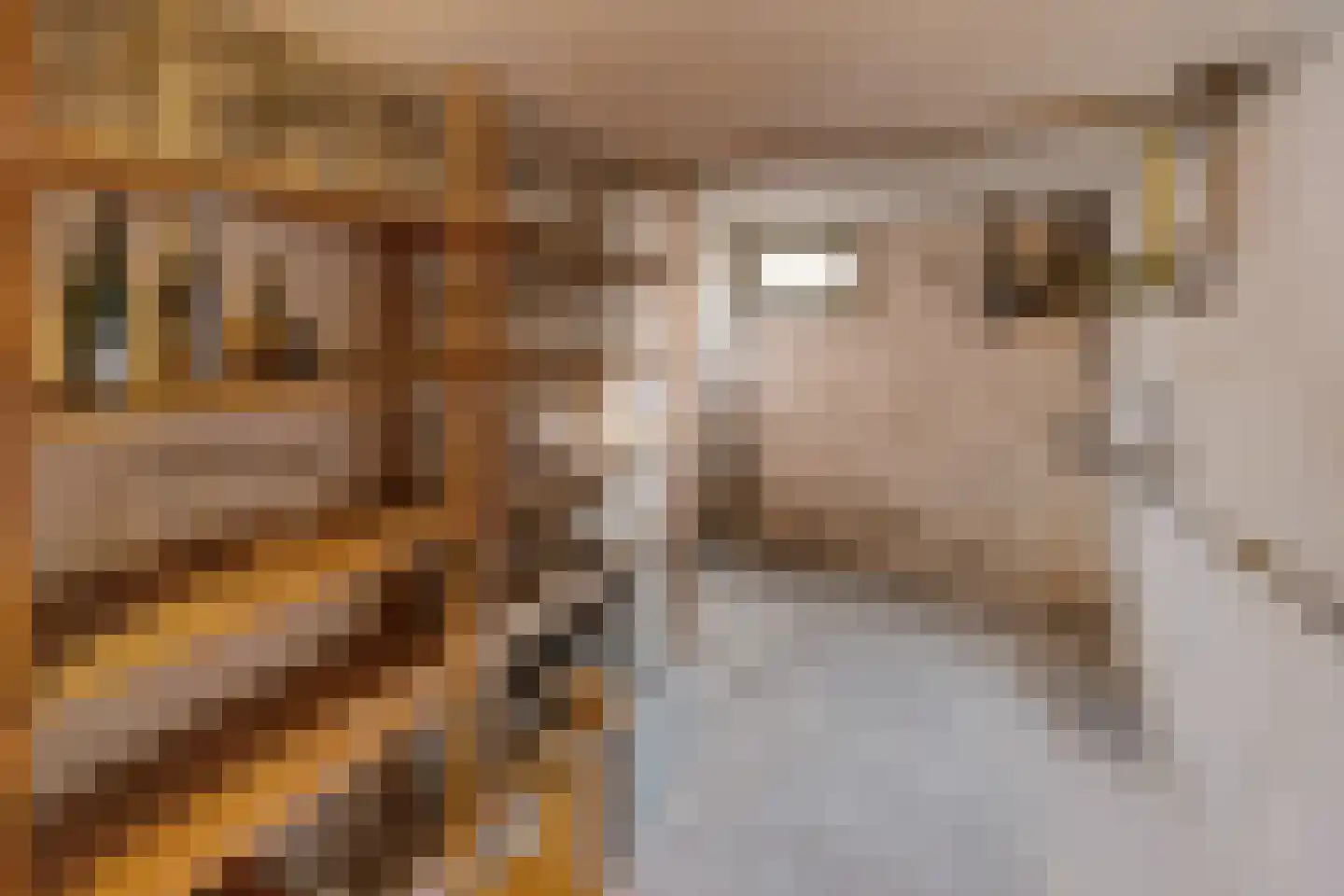 Enkstraat 22 Raalte thumbnail 24