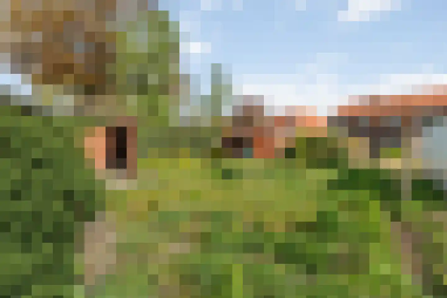 Enkstraat 22 Raalte thumbnail 30
