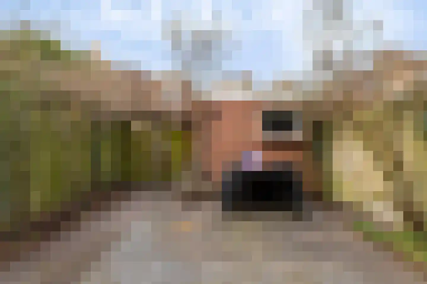 Enkstraat 41 Zwolle thumbnail 24