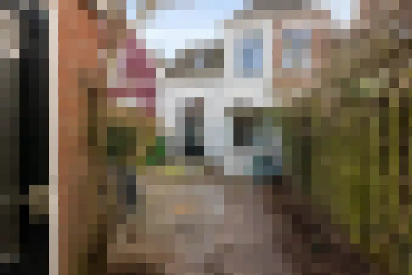 Enkstraat 41 Zwolle thumbnail 27