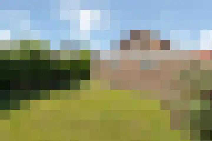 Enkstraat 43 Raalte thumbnail 30