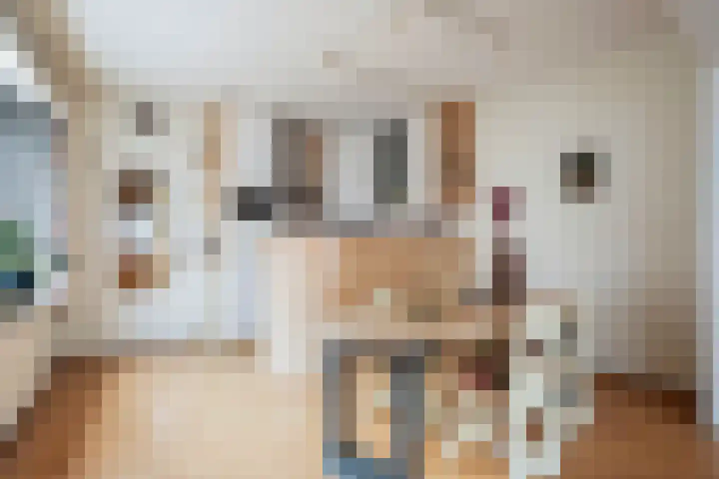 Enkstraat 49 Zwolle thumbnail 12