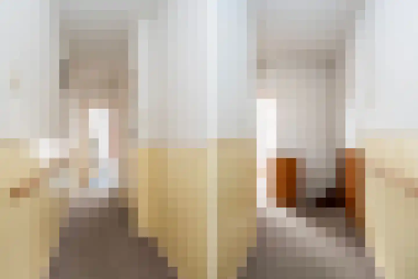 Enkstraat 49 Zwolle thumbnail 16