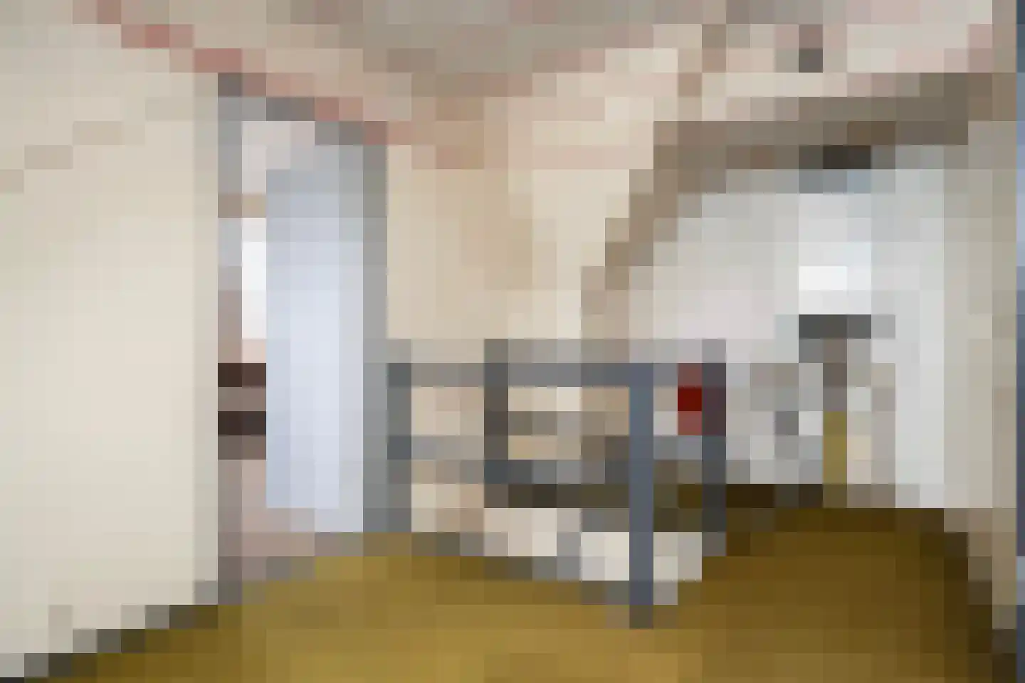 Enkstraat 49 Zwolle thumbnail 28