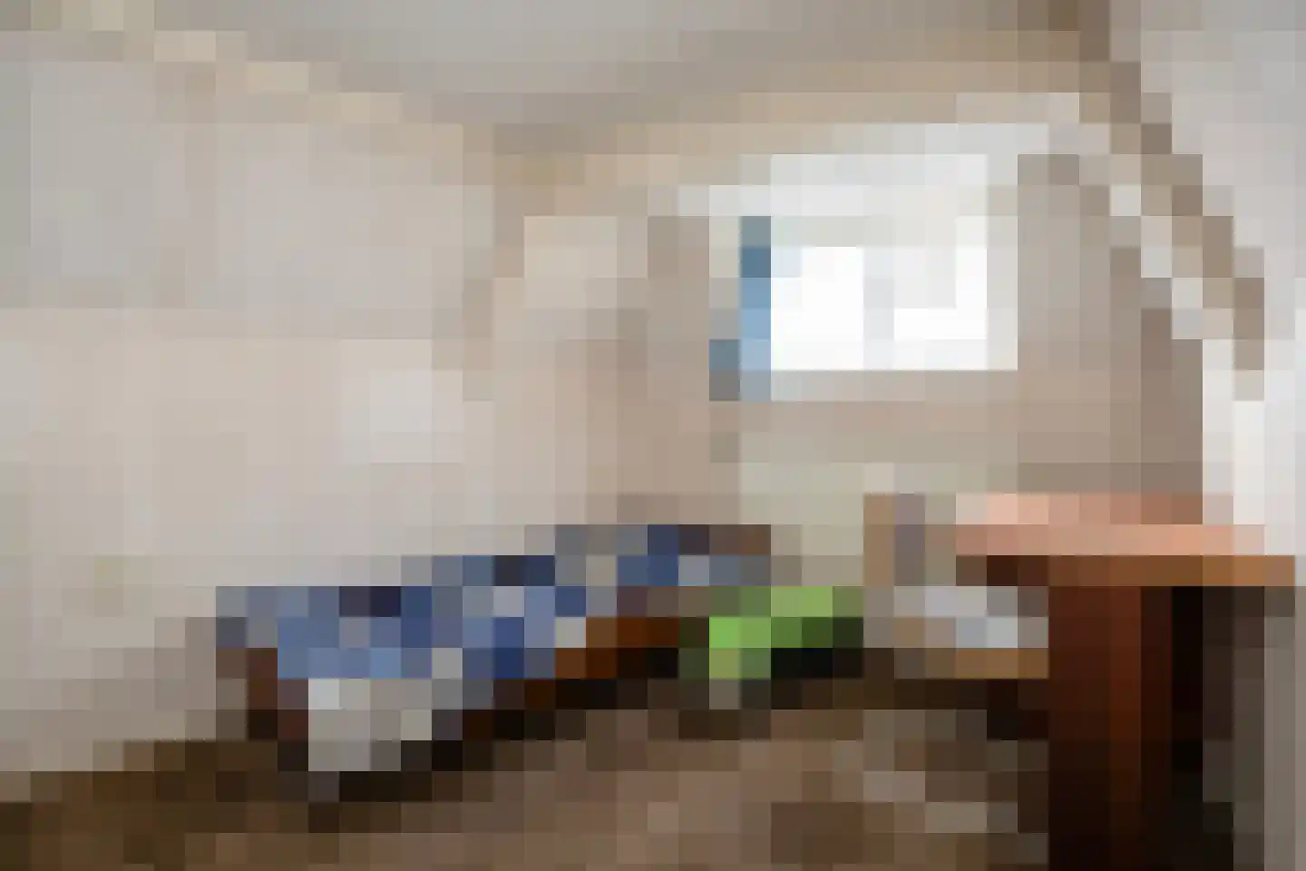 Enkstraat 49 Zwolle thumbnail 29