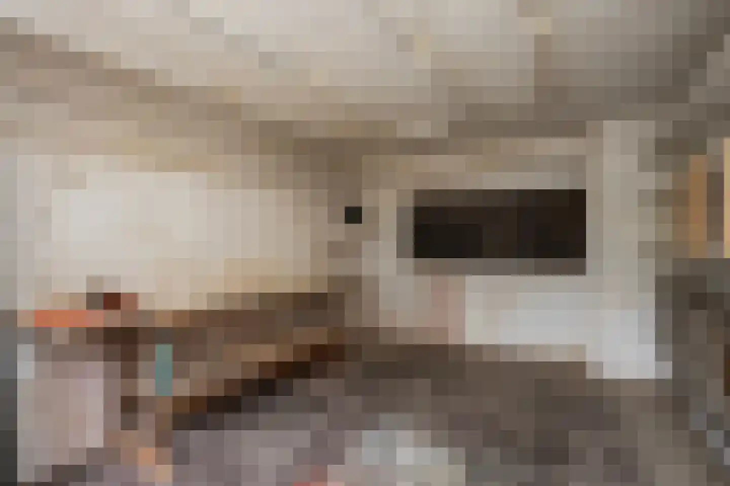 Enkstraat 49 Zwolle thumbnail 37
