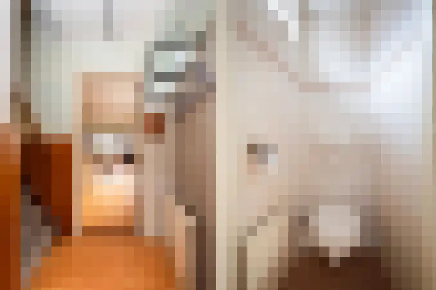 Enkstraat 49 Zwolle thumbnail 6