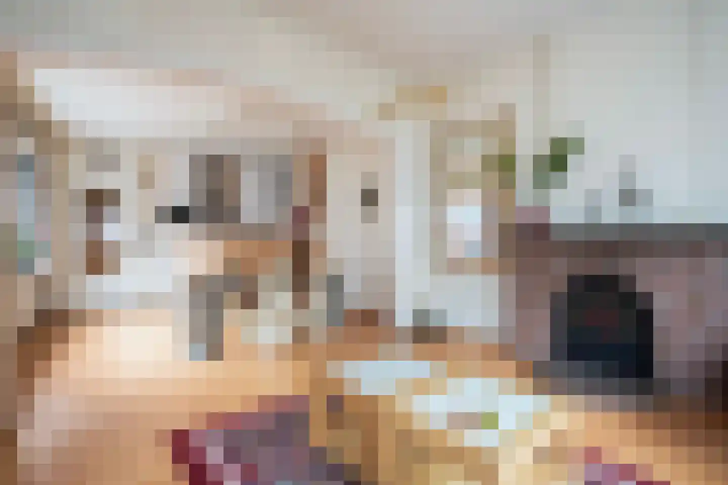Enkstraat 49 Zwolle thumbnail 9