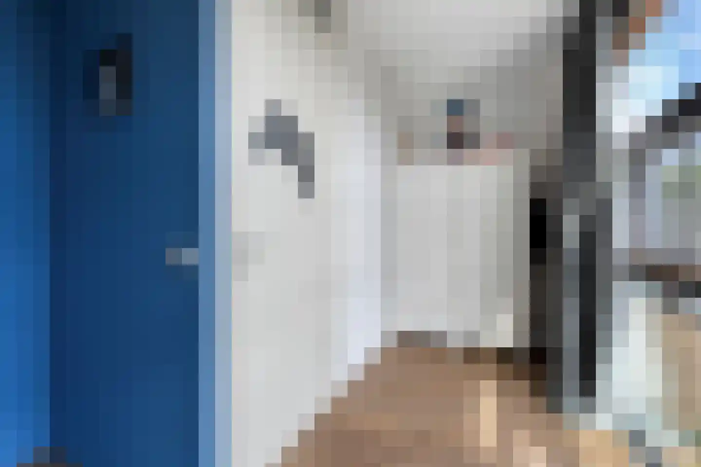 Enkstraat 5 Nijmegen thumbnail 17