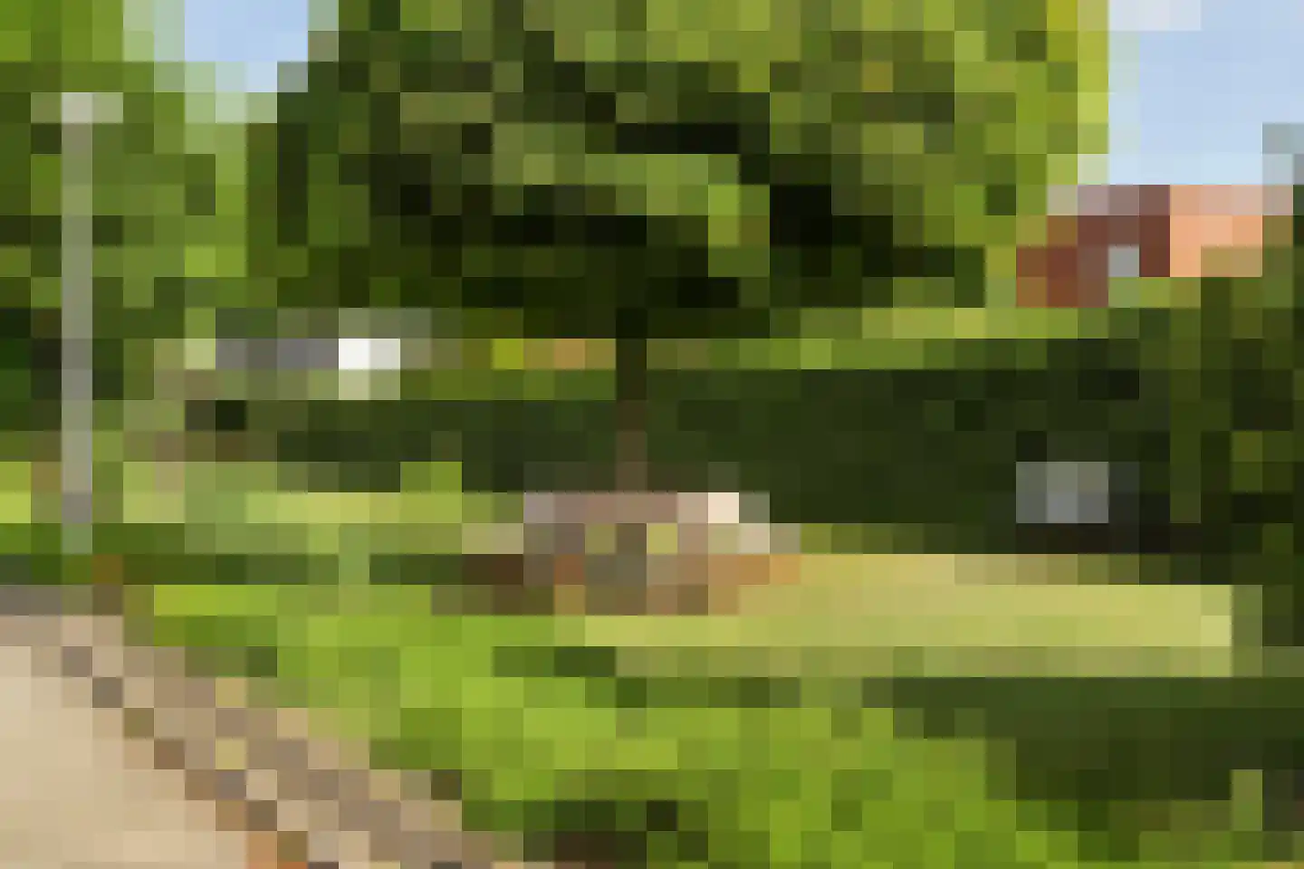 Enkstraat 5 Nijmegen thumbnail 32