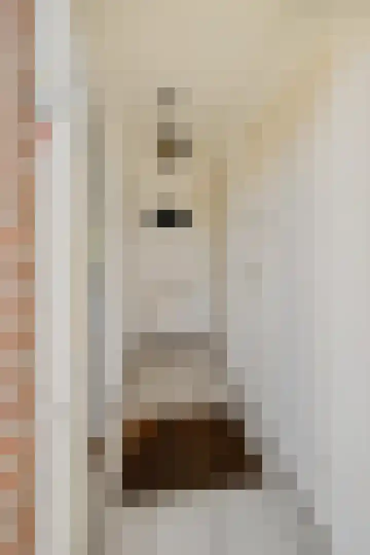 Enkstraat 59 Raalte thumbnail 27