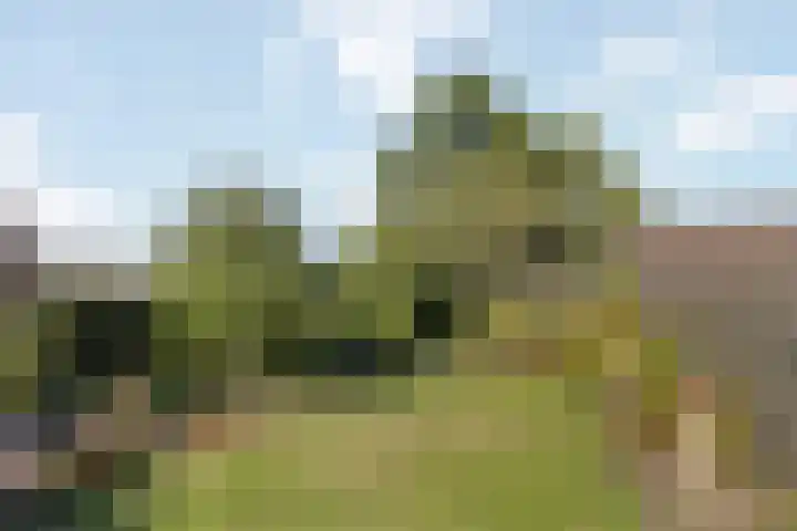 Enkstraat 59 Raalte thumbnail 29