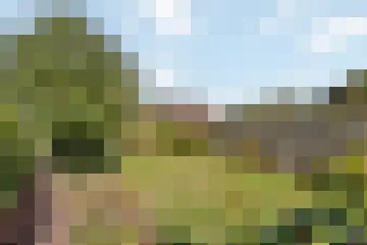 Enkstraat 59 Raalte thumbnail 30