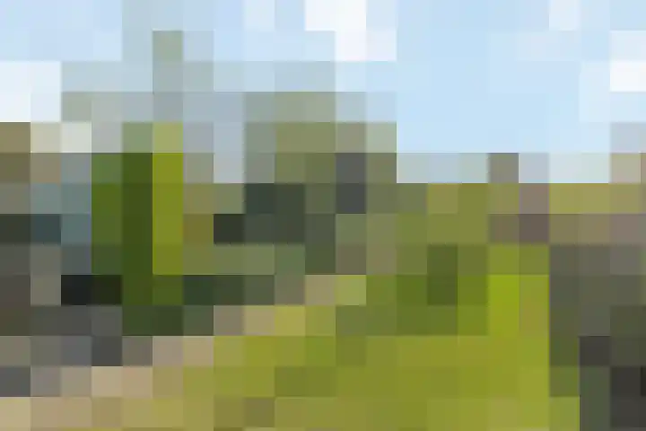 Enkstraat 59 Raalte thumbnail 31