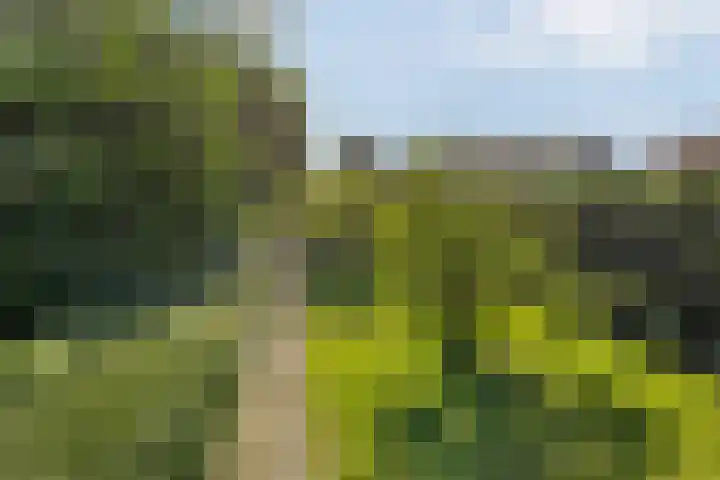 Enkstraat 59 Raalte thumbnail 32
