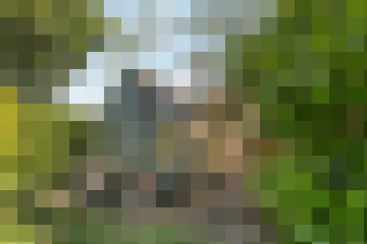 Enkstraat 59 Raalte thumbnail 33