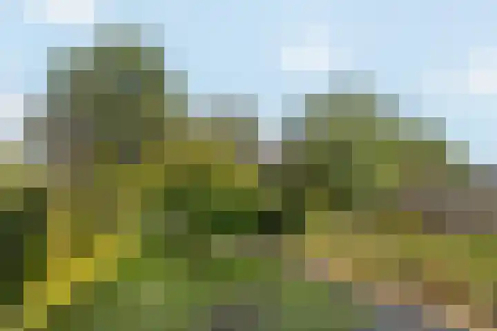 Enkstraat 59 Raalte thumbnail 34