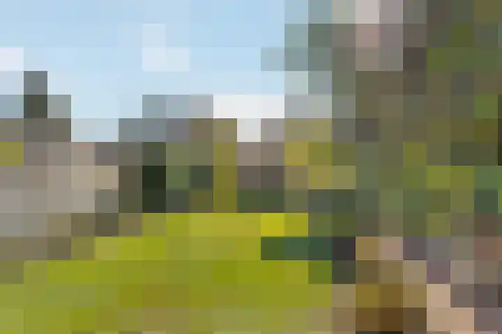 Enkstraat 59 Raalte thumbnail 35
