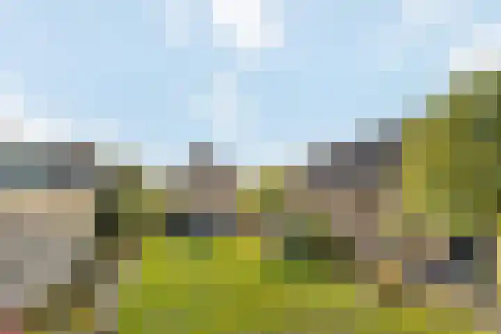 Enkstraat 59 Raalte thumbnail 36