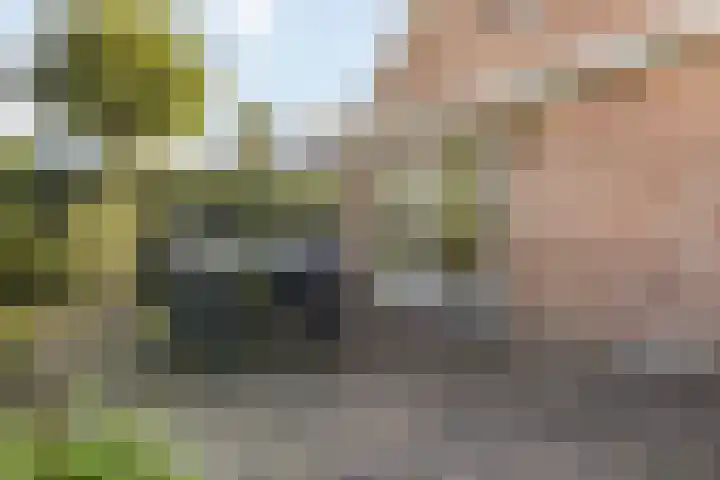 Enkstraat 59 Raalte thumbnail 38
