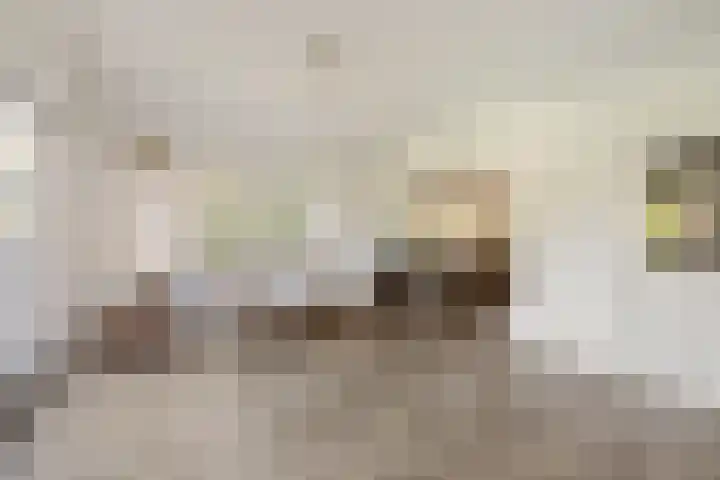 Enkstraat 59 Raalte thumbnail 6