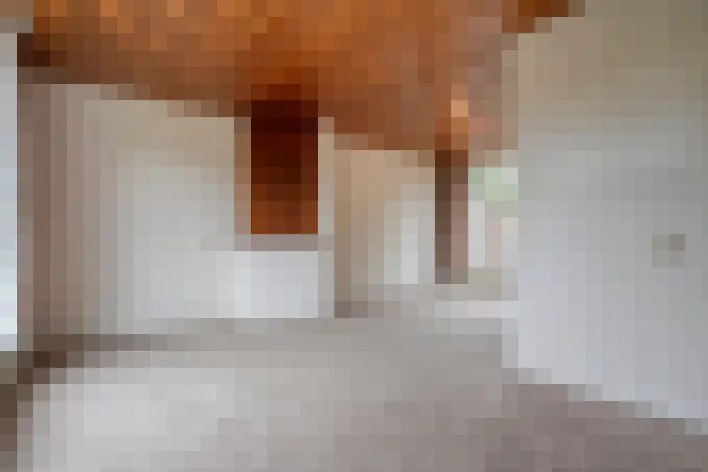 Enkstraat 89 Raalte thumbnail 16