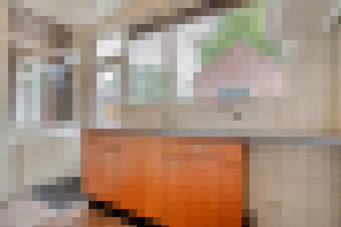 Enkstraat 89 Raalte thumbnail 17