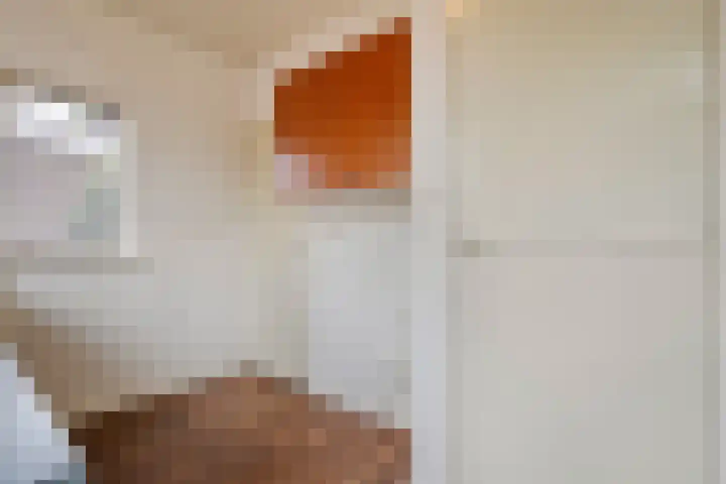 Enkstraat 89 Raalte thumbnail 18