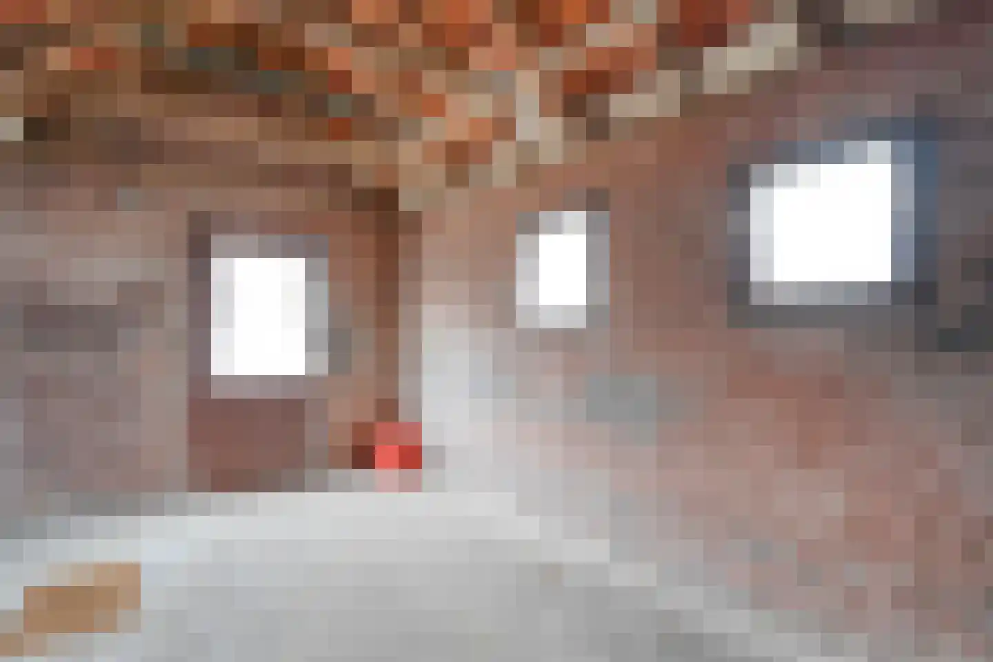 Enkstraat 89 Raalte thumbnail 34