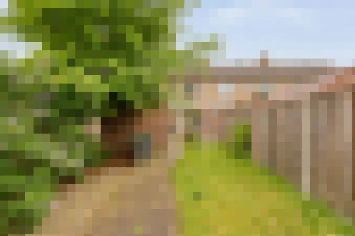 Enkstraat 89 Raalte thumbnail 35