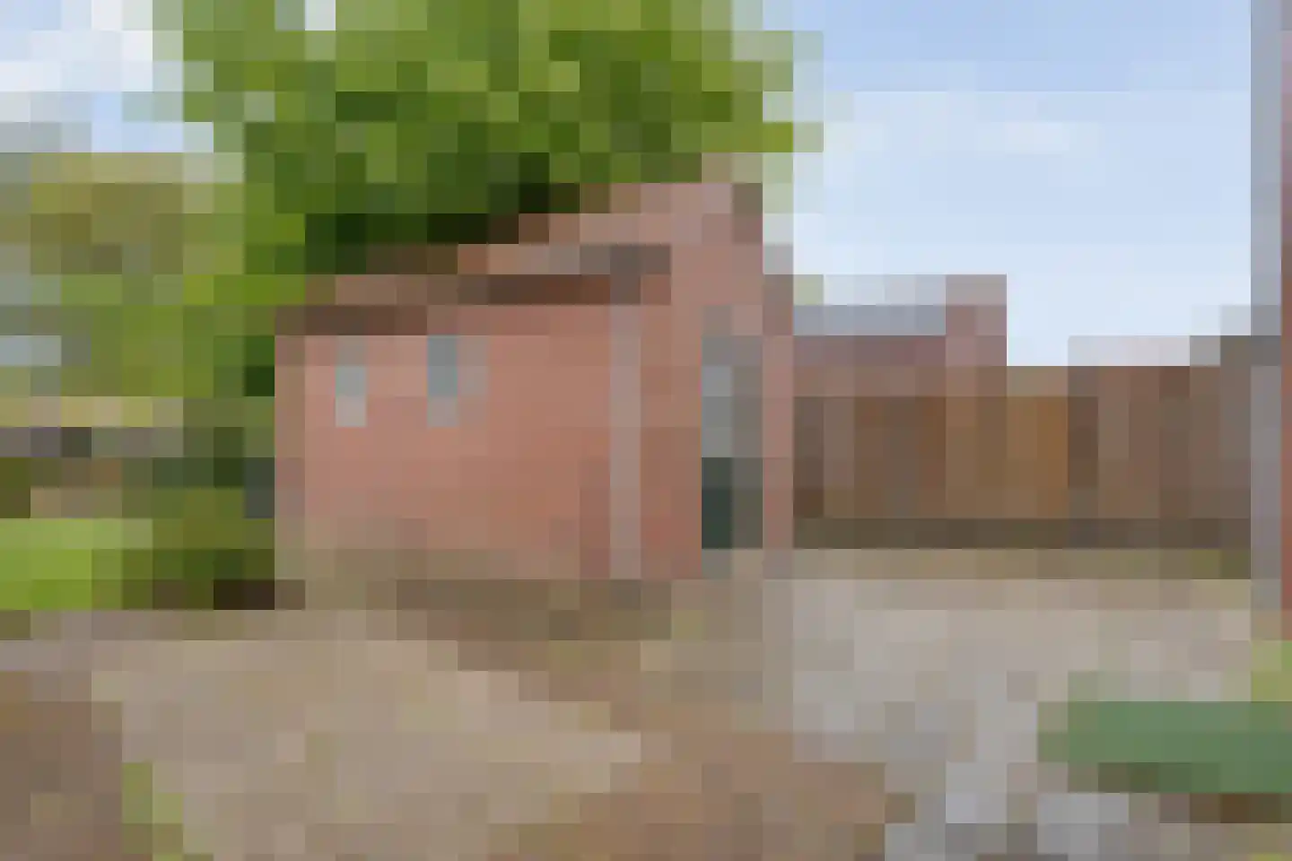Enkstraat 89 Raalte thumbnail 37