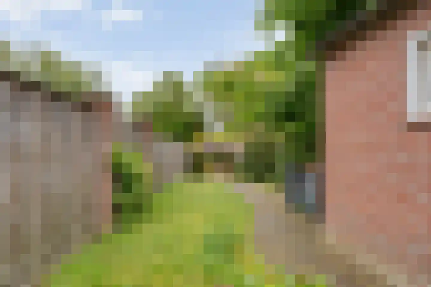 Enkstraat 89 Raalte thumbnail 38