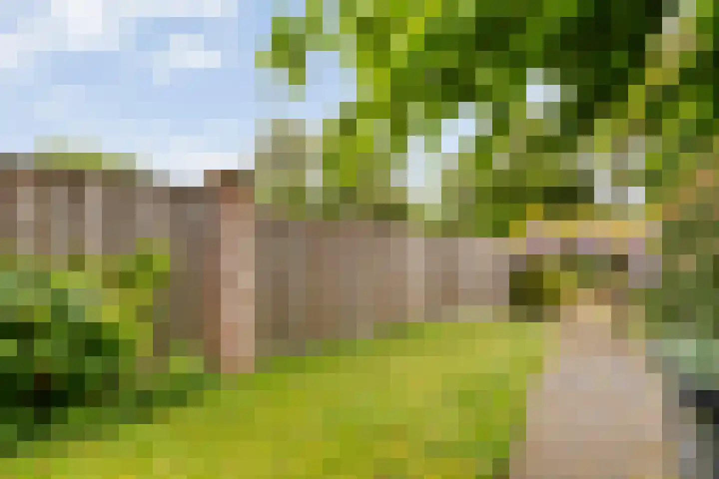 Enkstraat 89 Raalte thumbnail 39