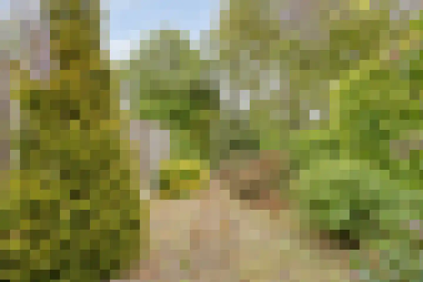 Enkstraat 89 Raalte thumbnail 41