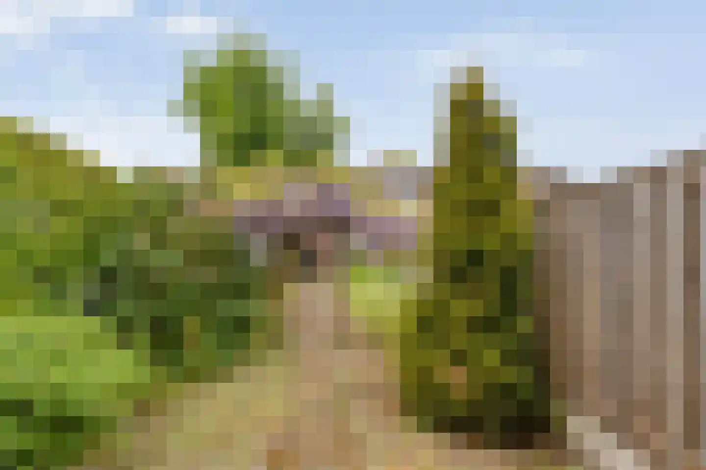Enkstraat 89 Raalte thumbnail 42