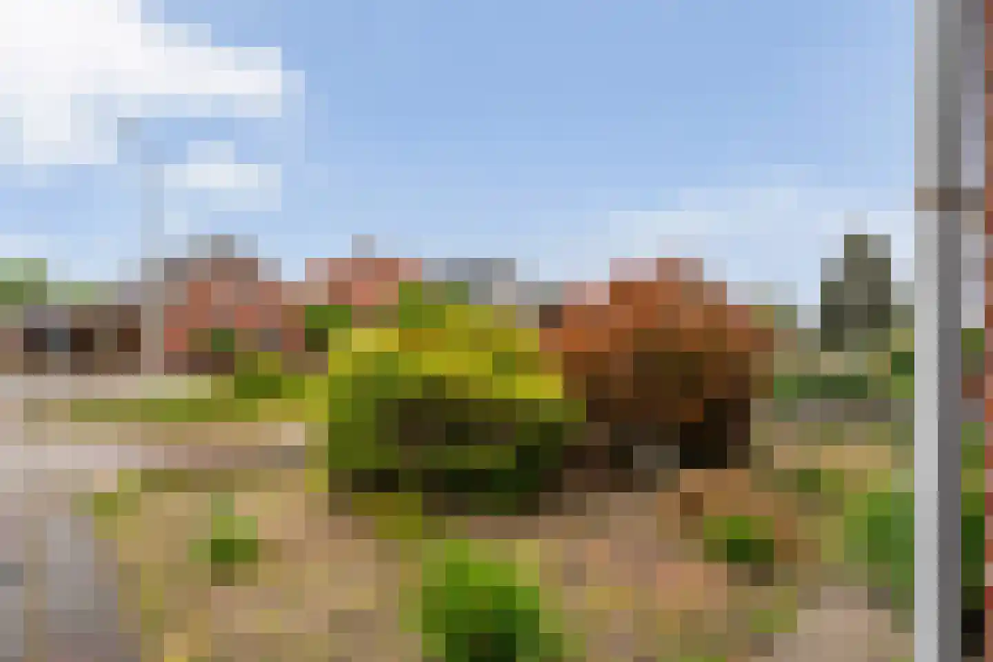 Enkstraat 89 Raalte thumbnail 6