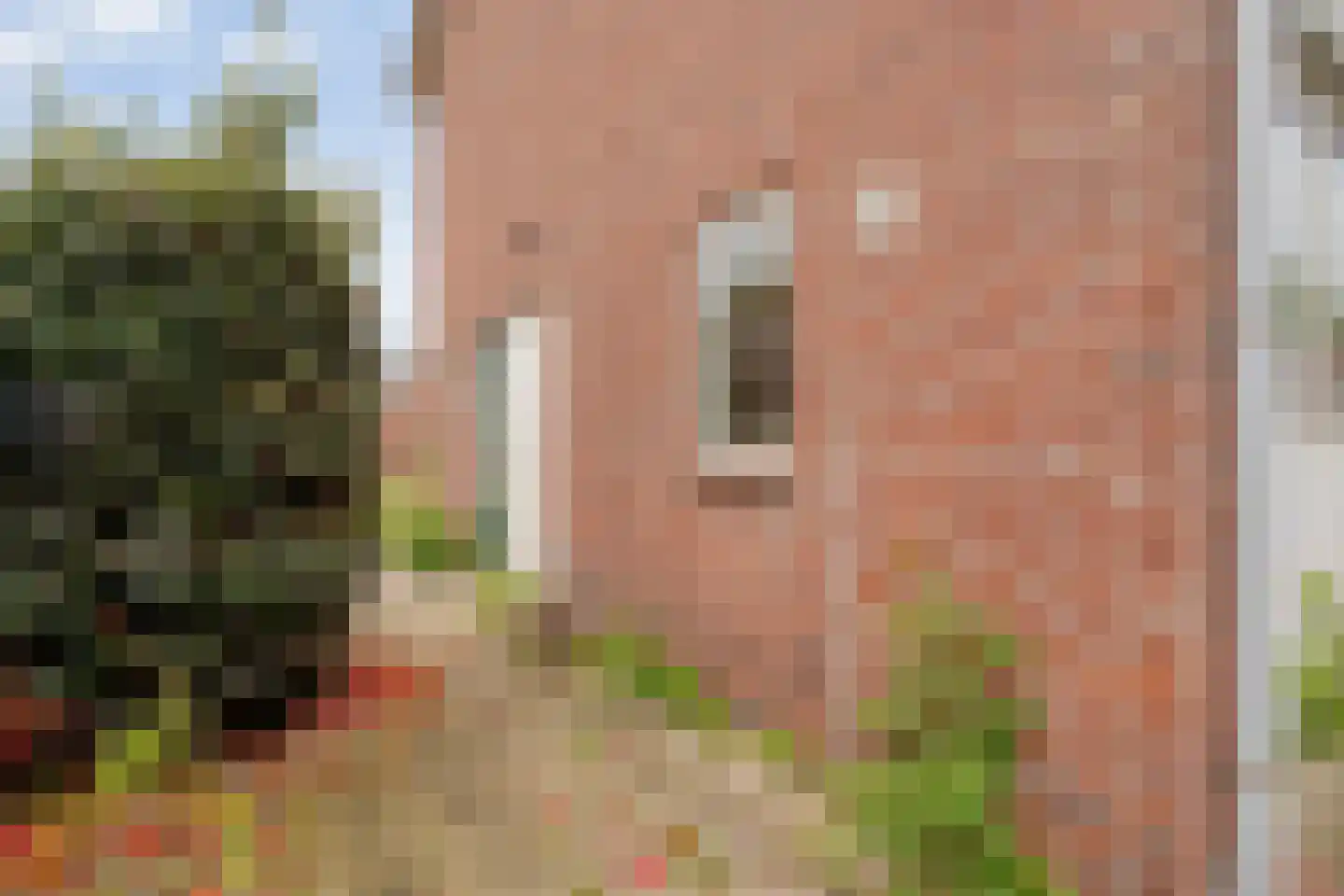 Enkstraat 89 Raalte thumbnail 7