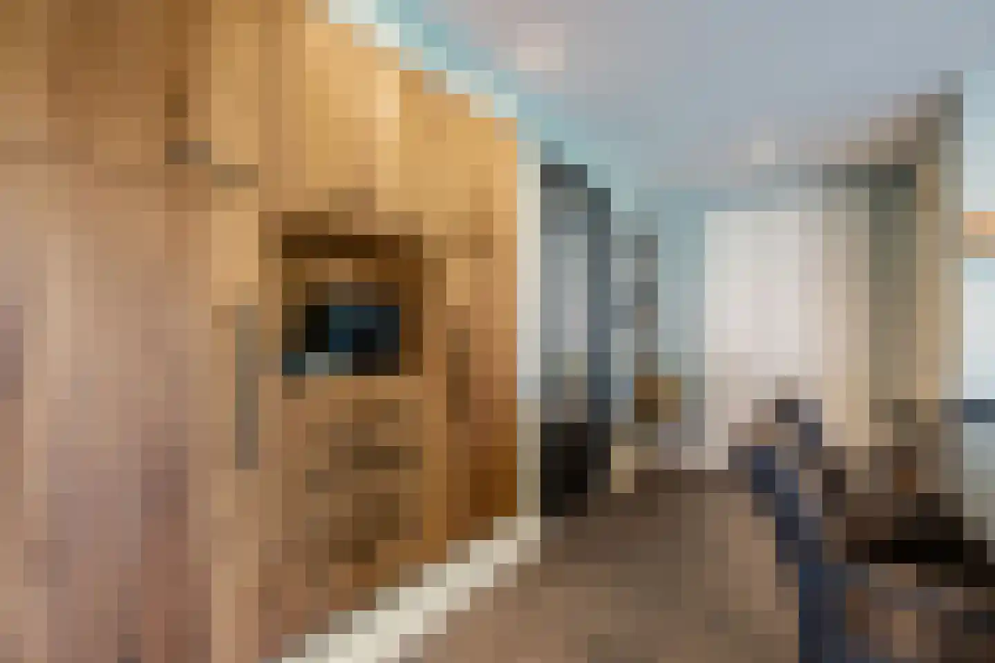 Enkstraat 90 Raalte thumbnail 17