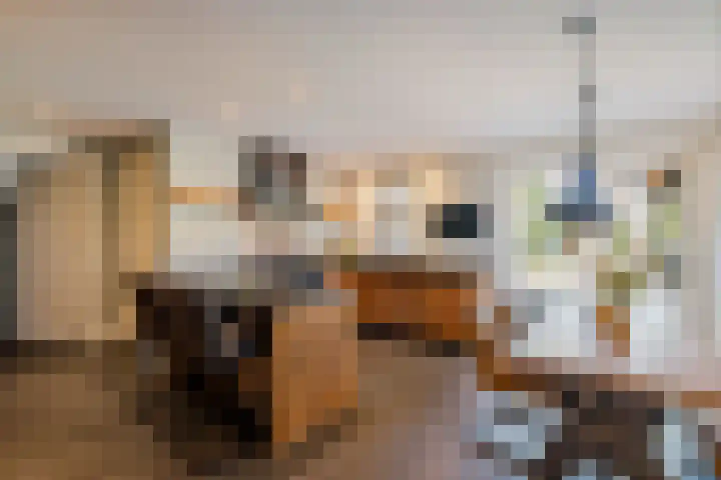 Enkstraat 90 Raalte thumbnail 18