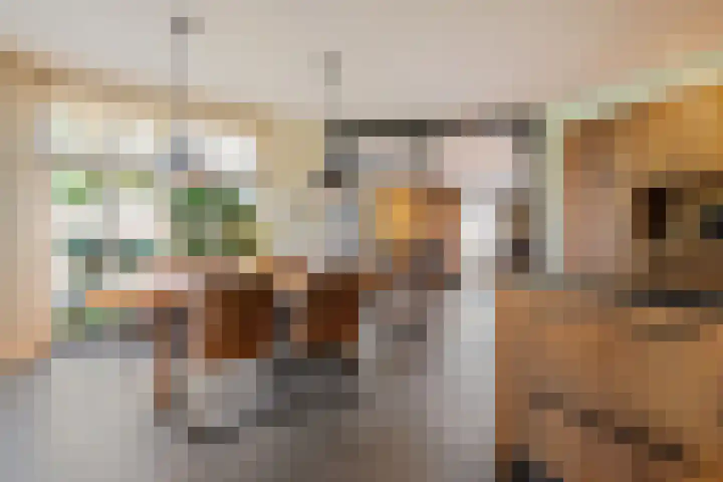 Enkstraat 90 Raalte thumbnail 19