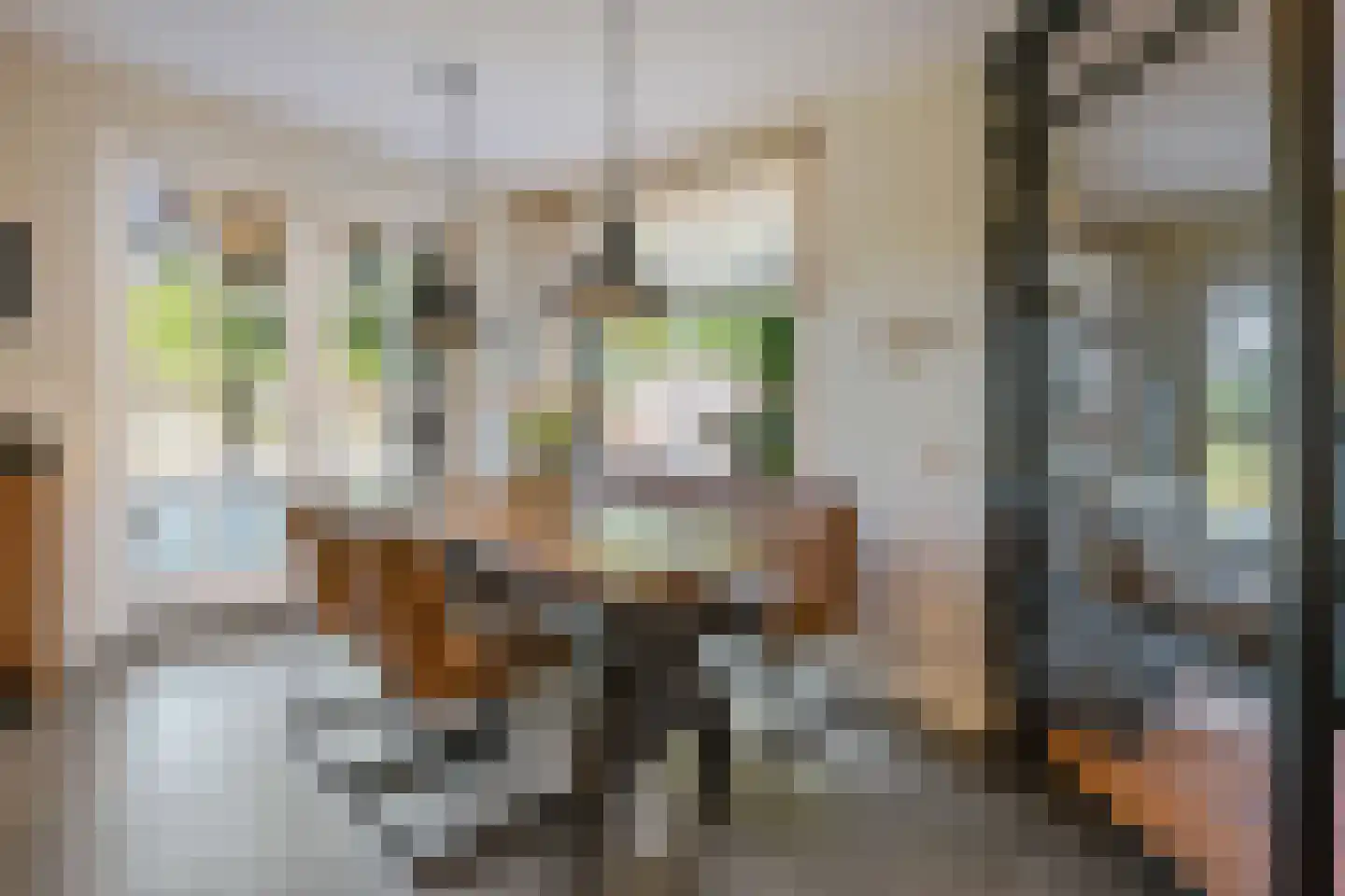 Enkstraat 90 Raalte thumbnail 20