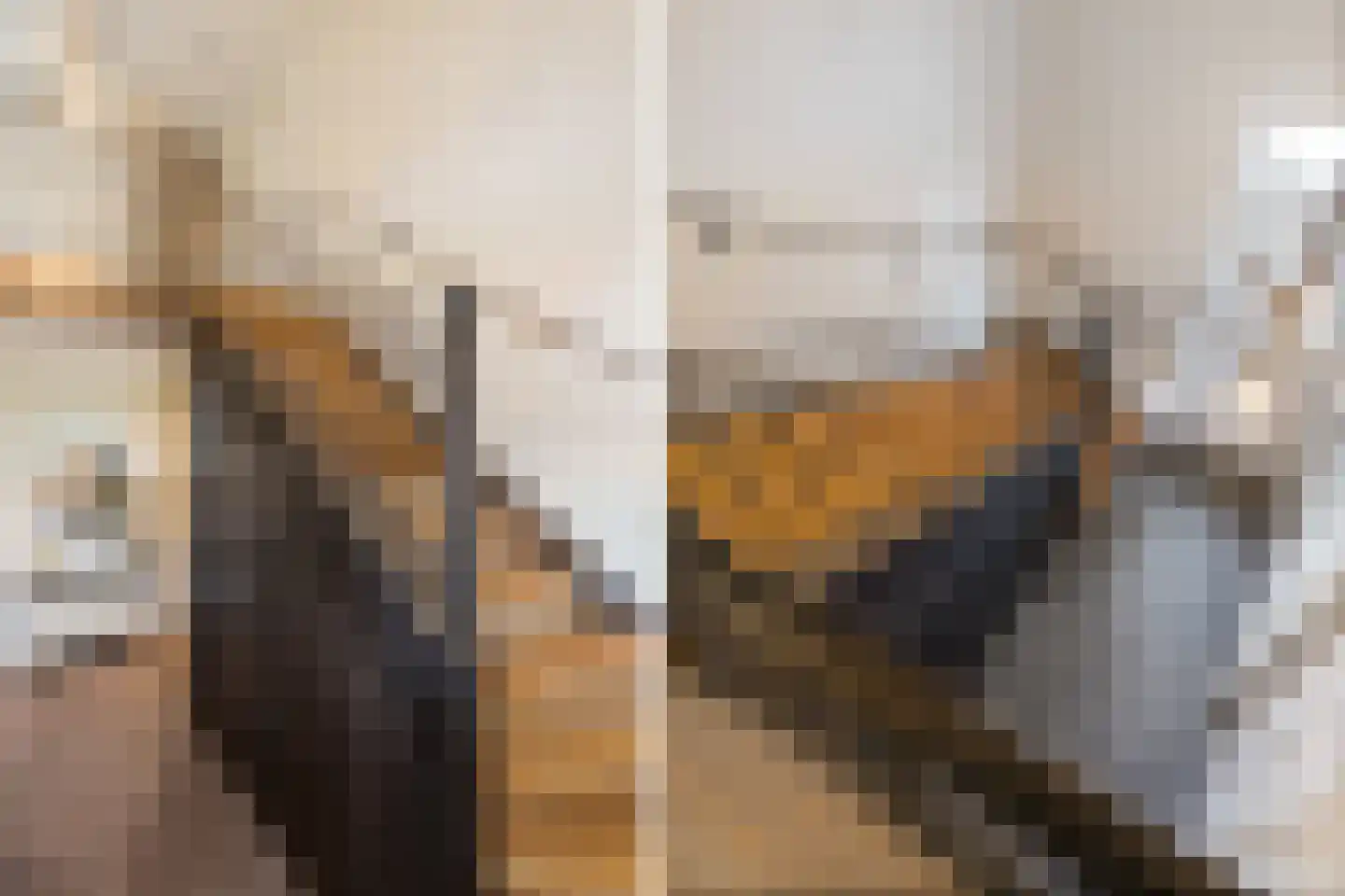 Enkstraat 90 Raalte thumbnail 25