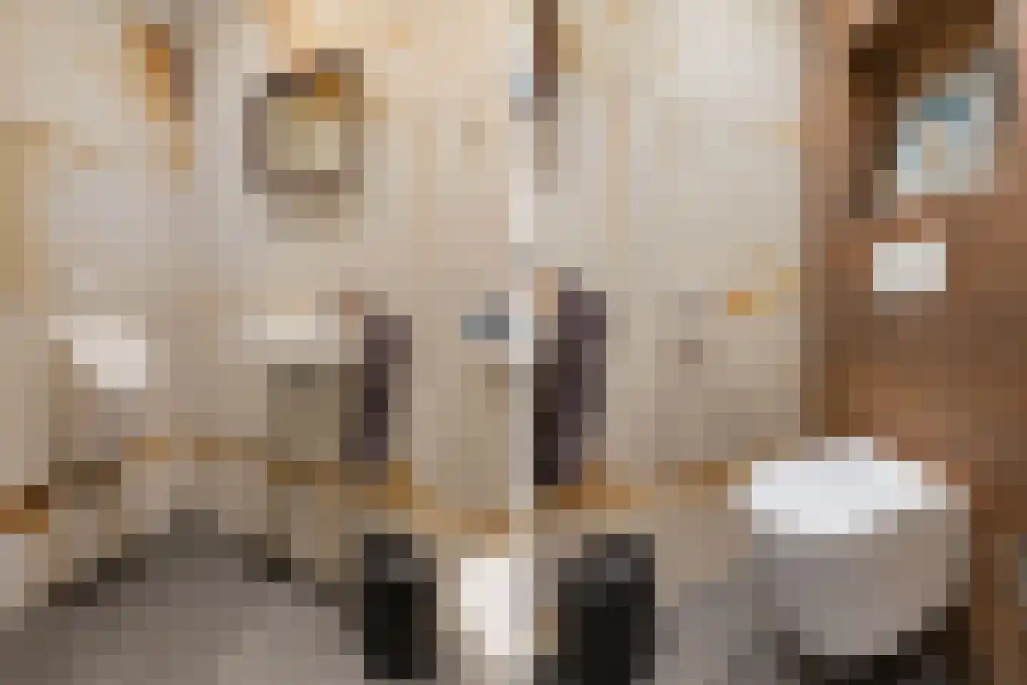 Enkstraat 90 Raalte thumbnail 26